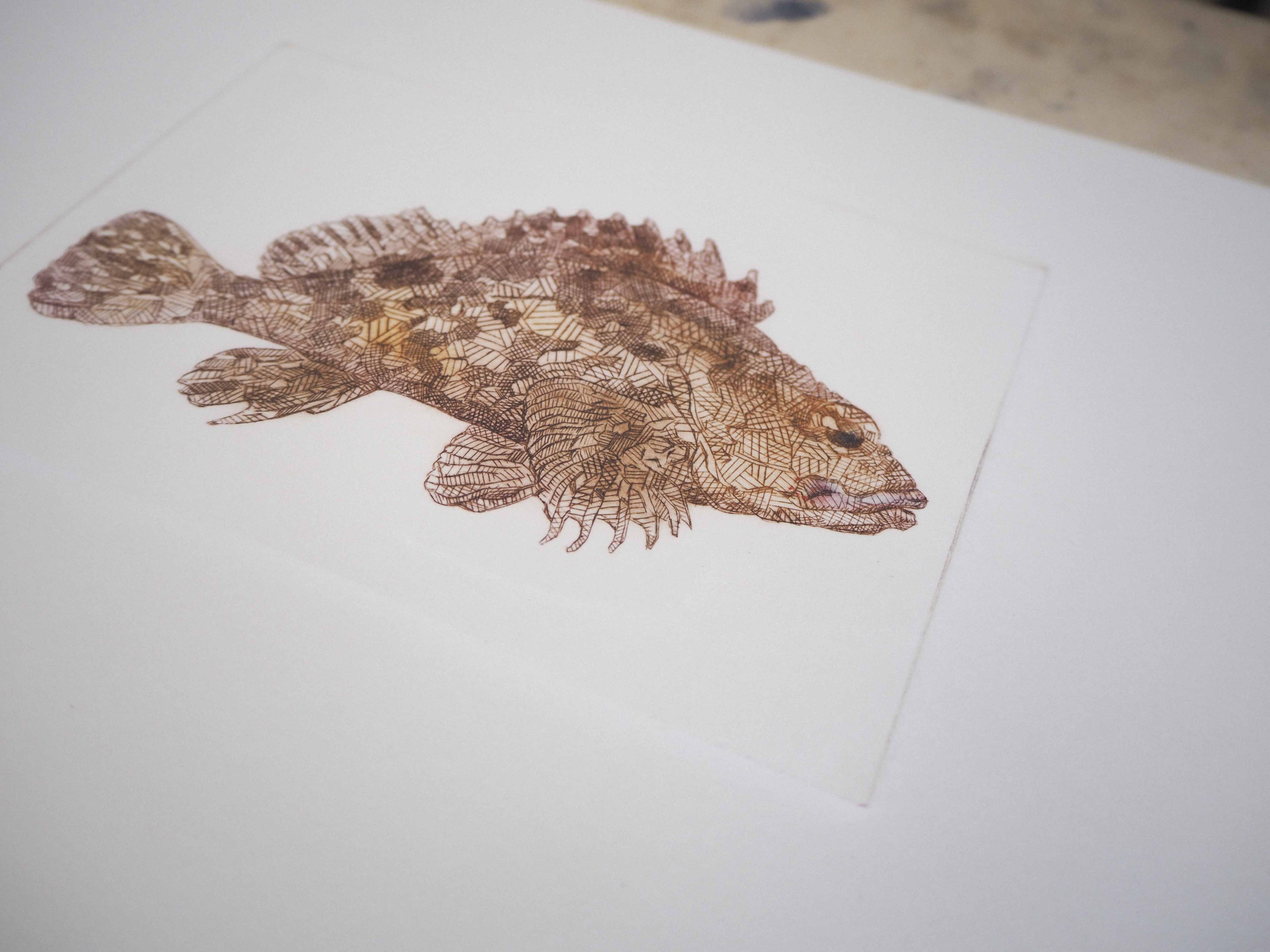 Acquaforte | Tecniche di incisione