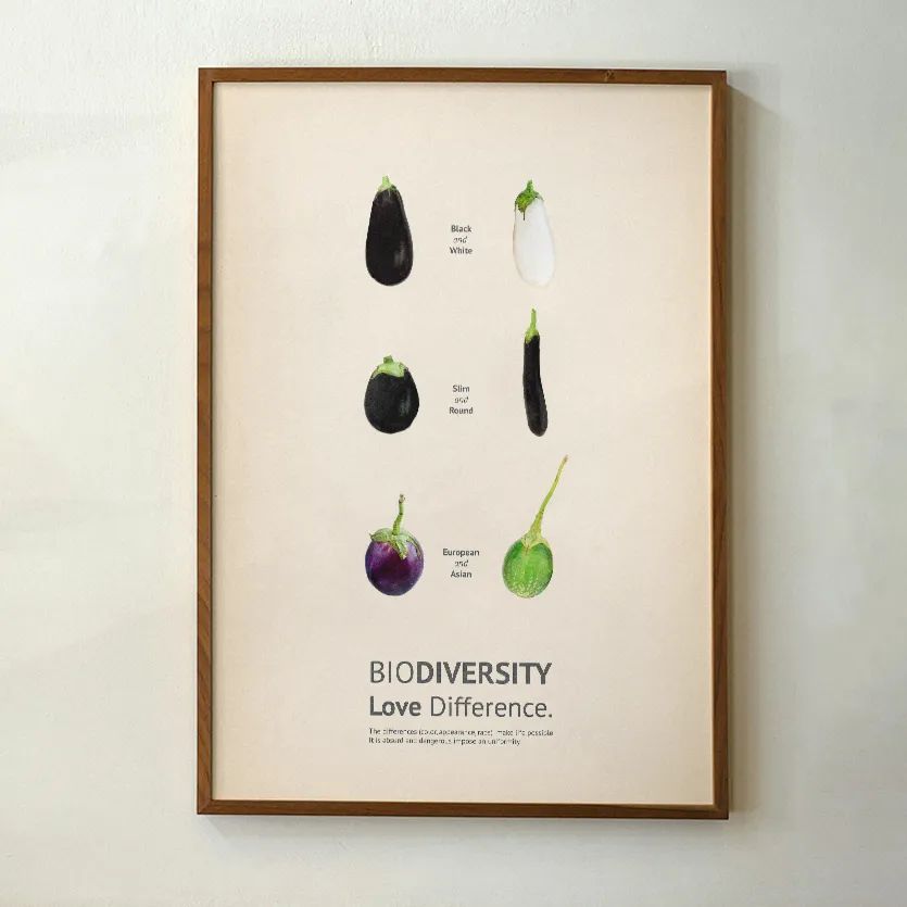 The Food System